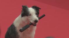 Začal filmový festival v Cannes. Po červeném koberci se prošel i Messi