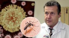 ROZHOVOR S LÉKAŘEM: Máme se v Česku bát viru Zika?