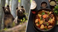 Na Slovensku budou servírovat medvědy. Restaurace nově smí nabízet jejich maso