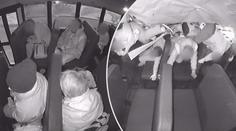 VIDEO: Autentické záběry nehody školního autobusu, děti létaly vzduchem
