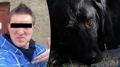 Zrůda: Jiří (24) nechtěl venčit psa, raději ho zabil a hodil do řeky! Co mu hrozí?