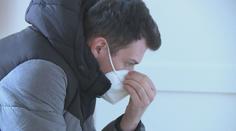 Muž se u soudu přiznal k týrání a zabíjení koček. Do vězení zřejmě nepůjde