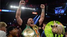 Divocí kňouři jako důkaz? Fury si měl koupit alibi, farmáři nedal ani halíř!