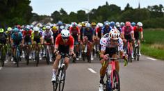 VIDEO: Hromadná nehoda v 8. etapě Tour de France. Odnesl to i Sagan