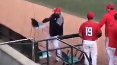 Divočina na baseballu: Trenér začal z ničeho nic házet na hřiště židle!