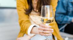 Festwine vyhrál Ryzlink z Mikrosvínu, cenu za kolekci si odnesl Vican