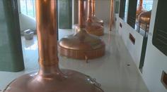 Po bludišti u Kozla se hodí Plzeň. Lidé z Plzeňského kraje lákají na výlety i pivo