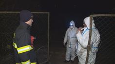 Boj s ptačí chřipkou! Na Moravě začalo vybíjení drůbeže!