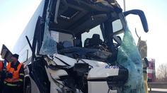 Jelen skončil po srážce uvnitř autobusu. Zranil turisty a utekl