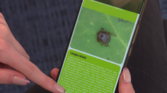 Nová aplikace ukáže, kde jsou klíšťata. Nahlásí také, jestli mají borreliózu
