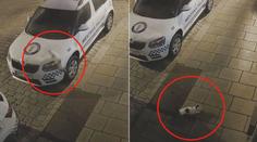 Strážník městské policie měl poničenou kapotu auta, viník utekl po čtyřech