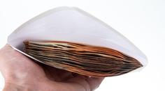 Nečekaný vánoční dárek. Banka omylem rozeslala klientům skoro 4 miliardy