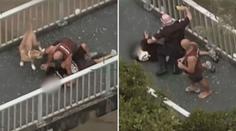 Odvážný pejskař dopadl zloděje aut během policejní honičky