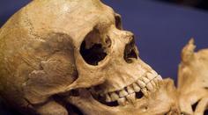 Neobvyklý nález archeologů. V Tetíně našli středověkou kostru černošky