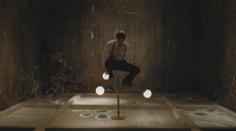 VÍKEND: Studentský Oscar za film Kdo je kdo v mykologii