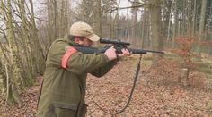 Frýdlantsko odvolalo opatření kvůli moru prasat. Padlo jim za oběť 11 tisíc divočáků