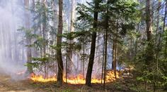 Hasiči se na čarodějnice nezastavili. Jen na Vysočině řešili 90 událostí
