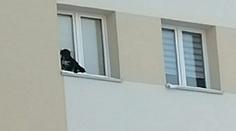 Muž zavřel psa na parapet okna v 9. patře. Zvíře se klepalo strachy