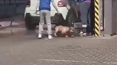 Video ze Slovenska: Čtyřnohého chlupáče máčeli proudem vody z wapky