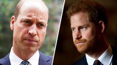 William se snažil Harrymu svatbu s Meghan rozmluvit. Měl vážné obavy