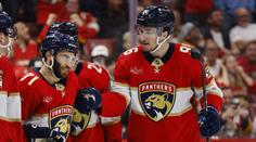 V NHL není místo pro kamarády. Hovorka popsal brutální boj o sestavu
