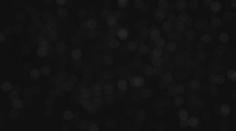 Čáp neodletěl do Afriky, přežil zimu, ale teď ho někdo ZASTŘELIL