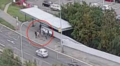 Odvážný senior (90) se nezalekl, přepral podezřelého z loupeže! VIDEO