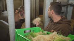 Obilí pro hrochy nebo šimpanze. Zoo ve Dvoře Králové má speciální laboratoř