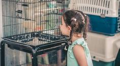 Lidé si oblíbili nového domácího mazlíčka. Inteligentní tvorové, žasnou