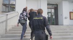 Žena se měla podílet na krádežích za miliony korun. Hrozí jí až osm let za mřížemi