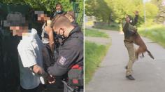 Dva podivní týpci tlačili cizího harleye. Zadržel je pejskař s fenkou Elishou