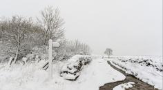 Až 10 cm za hodinu. Meteorologické modely předpovídají obří sněhovou bouři