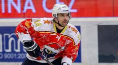 Plekanec milovaný i nesnášený: Proč ho někteří nemohou vystát?