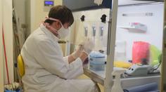 Česko by mohlo mít vlastní vakcínu. Poslouží v příštích letech, tvrdí ministr