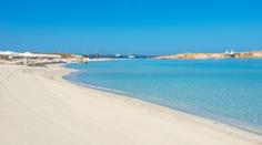 Panika na Mallorce: U pláže se objevil dvoumetrový žralok!