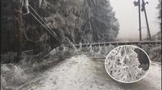 Všude skoro jaro, na Vysočině ledová apokalypsa! Námraza lámala i stromy