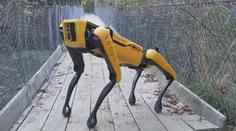 Technologická revoluce! Robot dokáže pást ovce