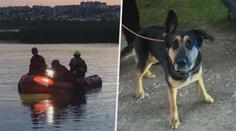 Policisté pátrali po majiteli fenky nalezené u rybníka. Obávali se nejhoršího
