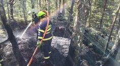 V Českém Švýcarsku hořel les. Plameny se podařilo zastavit, zasahoval i vrtulník