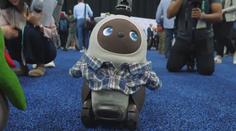 Robot vás přivítá u dveří. Veletrh v Las Vegas ukazuje budoucnost