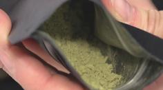 Česko zpřísňuje pravidla kolem kratomu. Podívejte se, co je teď jinak