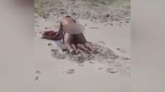 Dvojice si to rozdávala na pláži. Povzbuzoval je dav turistů! VIDEO