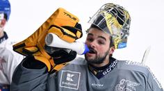 Pastrňák má nového spoluhráče. Český talent podepsal smlouvu v NHL