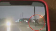 VIDEO: Skutečné Žralokonádo? Řidiče vyděsil letící žralok, kterého odnesla bouře