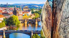 Kůrovec už řádí i v Praze. Úplně zlikvidoval stromy v oblíbeném parku