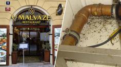 V Praze zavřeli oblíbenou restauraci. Inspekce tam odhalila vážné pochybení