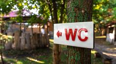 Proč se záchody označují zkratkou WC? Přestože je z angličtiny, nevědí to ani mnozí Britové