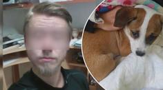 Průlomový rozsudek kvůli týrání zvířat, muž musí zaplatit léčbu