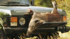Detektivové v akci: Falešná prasečí srst a další triky s luxusními auty