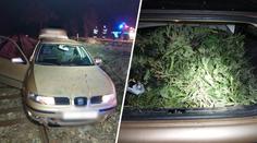 Muž bez řidičáku uháněl  rychlostí 200 km/h. V kufru na policii čekalo překvapení